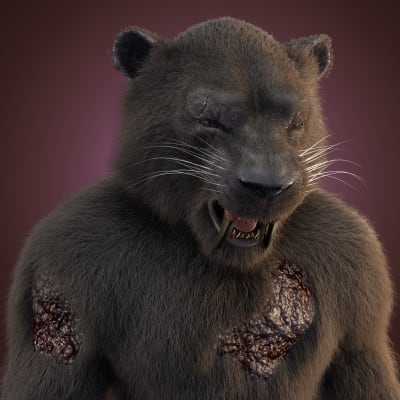 Image for eGang #294 item