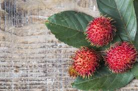 Image for rambutan item