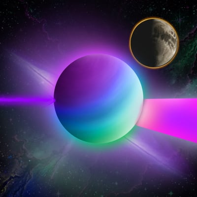 Image for 8356 item