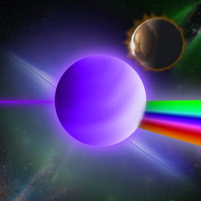 Image for 9017 item