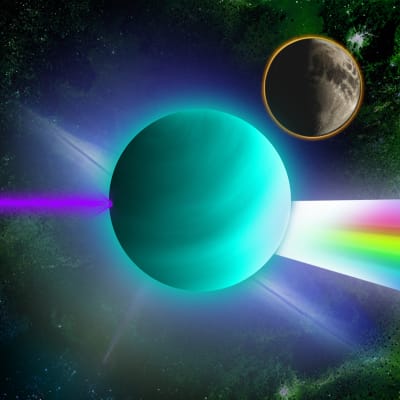 Image for 7706 item