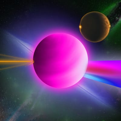 Image for 1198 item
