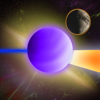 Image for 8907 item