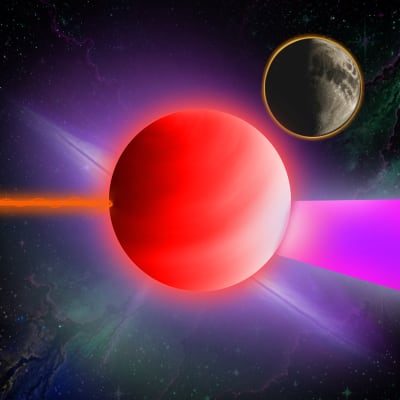 Image for 1146 item