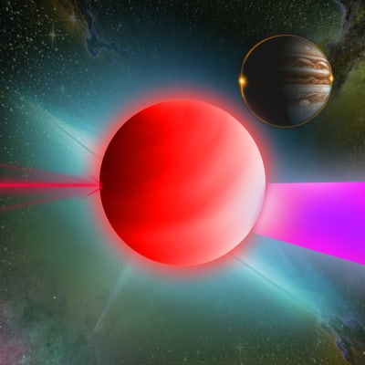 Image for 8778 item