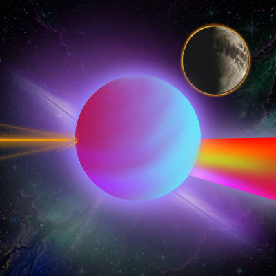 Image for 7307 item