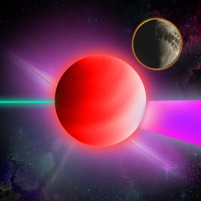Image for 6023 item