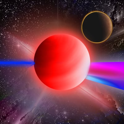 Image for 558 item
