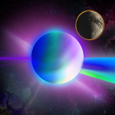 Image for 8169 item