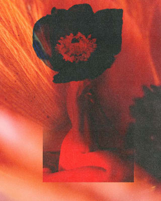 Image for Anemone – A self-portrait item
