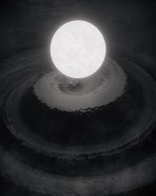 Image for Shell item
