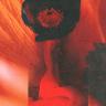 Collection image for Anemone – A self-portrait