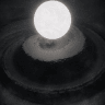 Collection image for Shell
