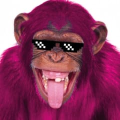 Manki Profile Rarible
