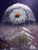 Collection image for Dndestruktible