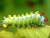 Collection image for Reqwea
