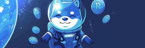 Image for bento item