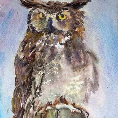Image for owlmega #87 item