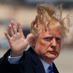 Image for MegaTrump item