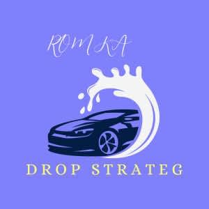 Image for Dropstrateg item