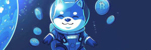 Image for bento item