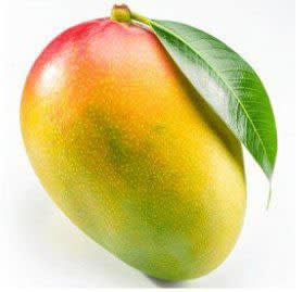 Image for MMANGO #3 item