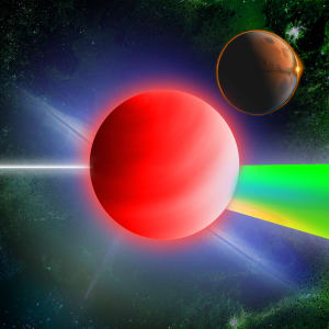 Image for 8229 item