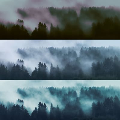 Image for Nature item